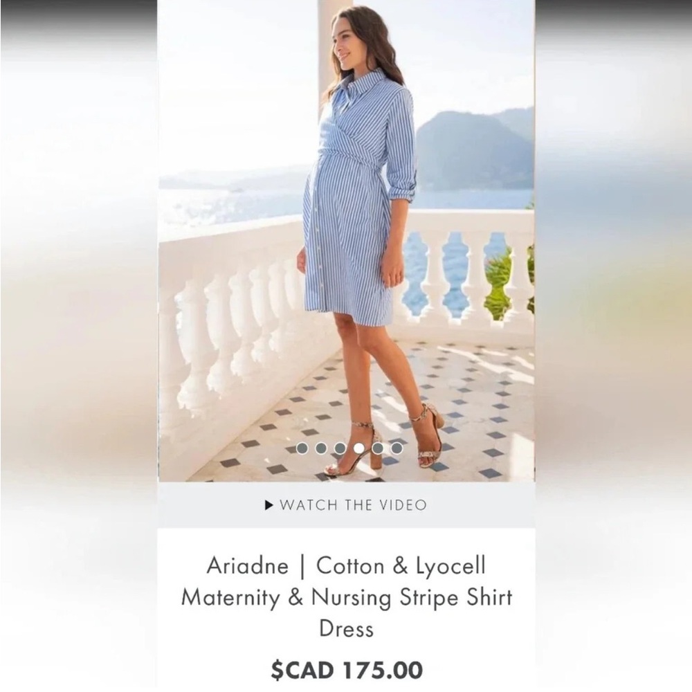 Seraphine Blue and White Striped Maternity/Nursing Shirt Dress - Picture 4 of 15